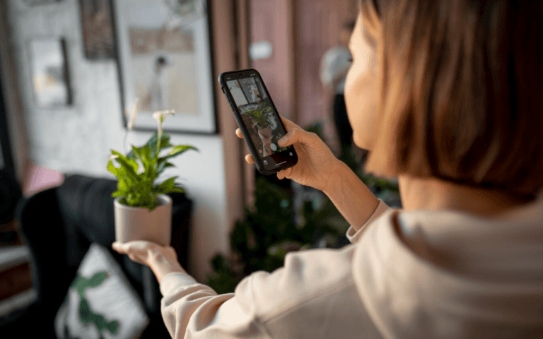 Choose a Smart Home Ecosystem